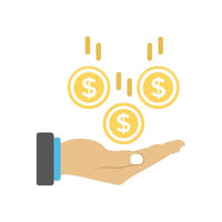 MeroxIO IT Solutions