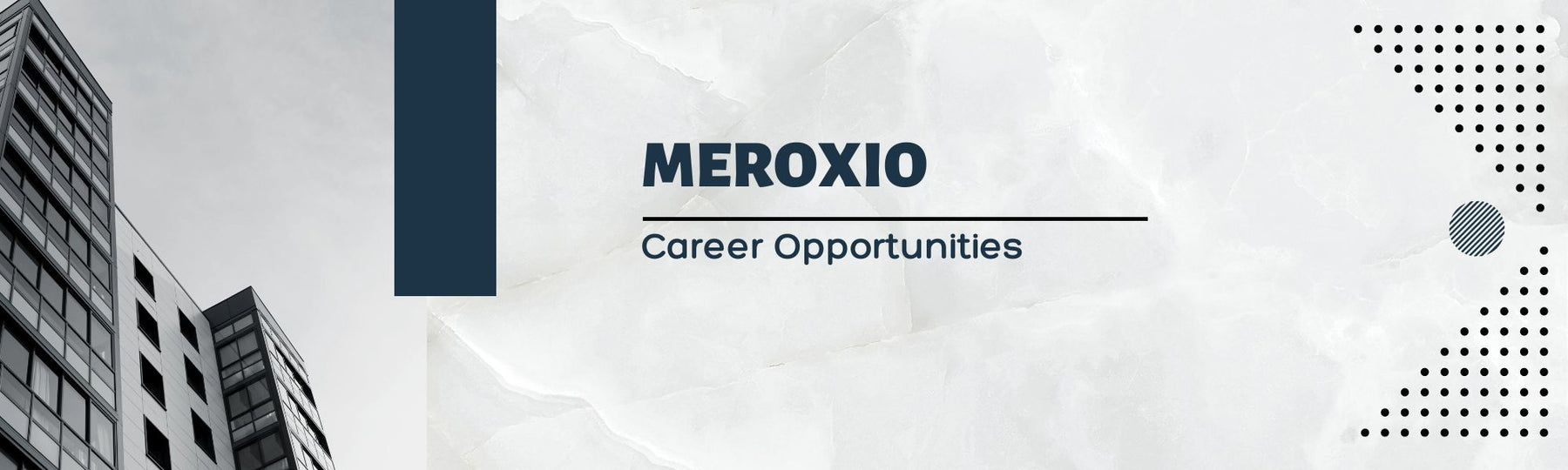 MeroxIO IT Solutions